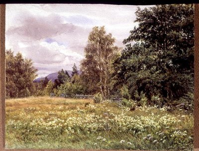 Eng-søt nær Polchar, Aviemore, Skottland av Gertrude Martineau
