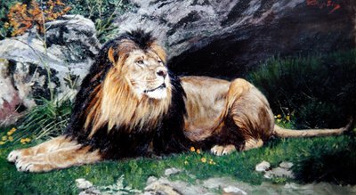 A Barbary or Atlas Lion, ca. 1890-1900 (olje på lerret) av Geza Vastagh