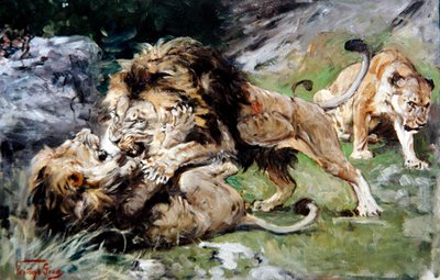 Barbary Lions Fighting, ca. 1890 (olje på lerret) av Geza Vastagh