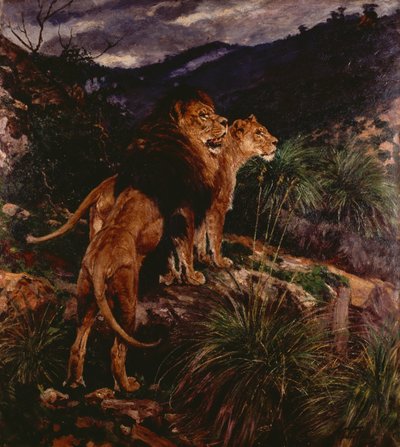 Lions Stalking (olje på lerret) av Geza Vastagh