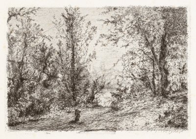 Skog ved Lago Maggiore [skog ved Lago Maggiore] av Giberto Borromeo
