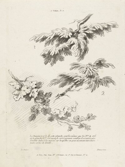 Studie av tre grener med blader 1er Cahier de paysage (serietittel) av Gilles Demarteau