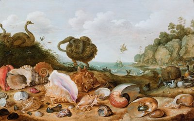 Skjell og fugler, inkludert en dodo, på en strandlinje, Perseus redder Andromeda i bakgrunnen av Gillis Claesz d
