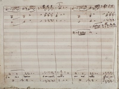 Musikalsk partitur for La calunnia e un venticello aria, i Barberen i Sevilla (blekk på papir) av Gioachino Rossini