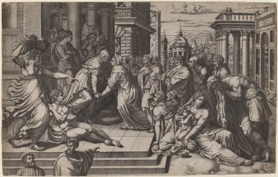 Besøket av Giorgio Ghisi after Francesco Salviati