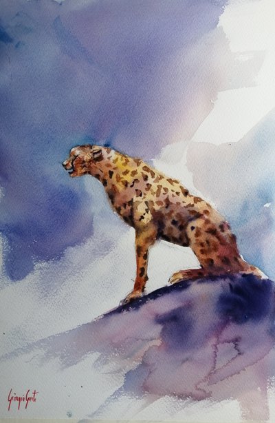 Gepard på en stein av Giorgio Gosti