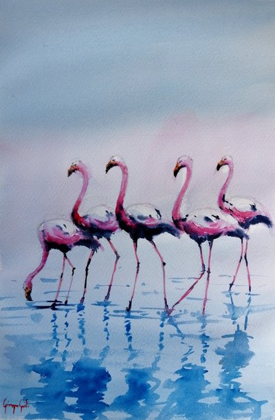 Rosa flamingoer som vasser av Giorgio Gosti