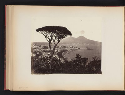 Utsikt over Napoli, Italia, med et furutre i forgrunnen Panorama-dalen Vomero Napoli (tittel på objekt) av Giorgio Sommer