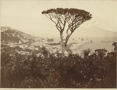  av Giorgio Sommer