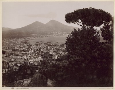 Panorama over Napoli av Giorgio Sommer