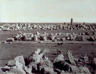Panorama over restene av Minerva-tempelet og Apollo-tempelet i Selinunte. Det er en mann på hesteryggen blant ruinene av det arkeologiske området av Giorgio Sommer