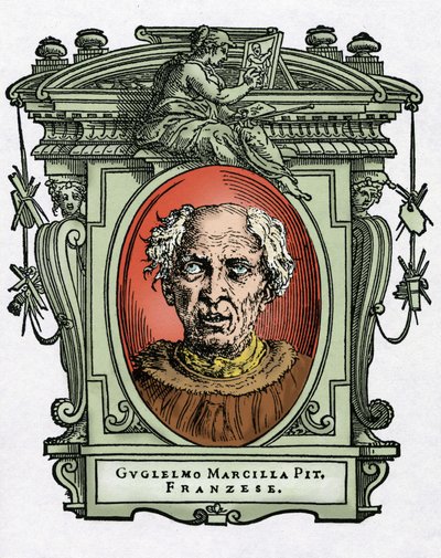 Portrett av William av Marcillat av Giorgio Vasari