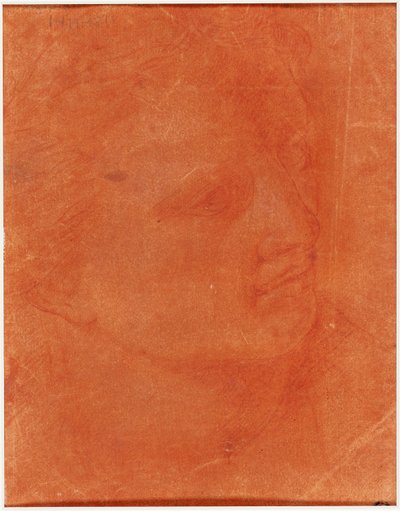 Leder i trekvartsprofil (recto); Stående ung mann som peker til venstre og skisser av føtter, arm (verso) av Giorgione