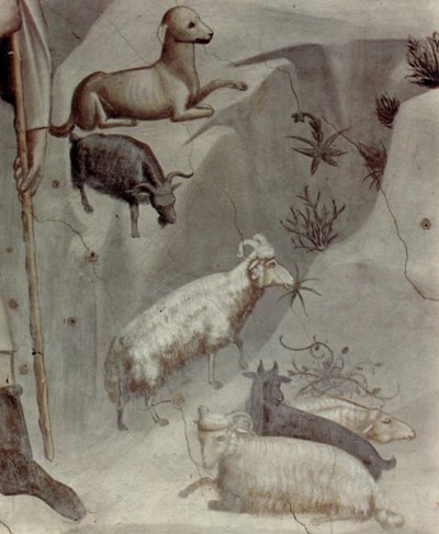 av Giotto