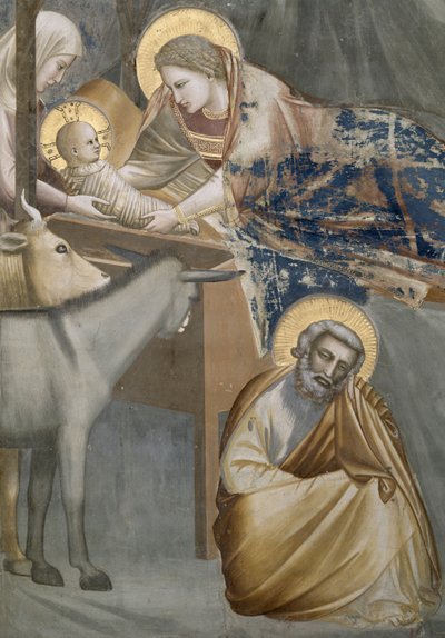 Fødselen, detalj av jomfruen og barnet, eselet og Josef, 1303-05 (etter restaurering) av Giotto di Bondone