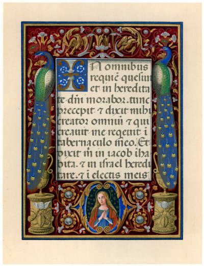 Tekstside med jomfruen og to påfugler, c1490 av Giovan Pietro Birago
