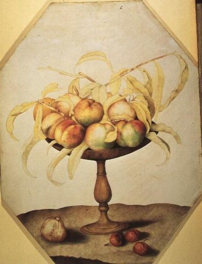 Skål med fersken (tempera på vellum) av Giovanna Garzoni