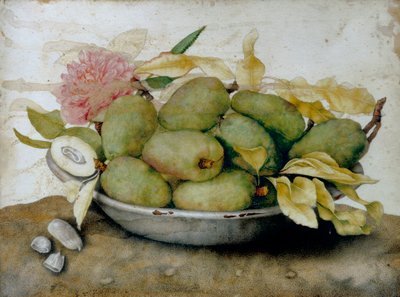 Tallerken med loquats, mandler og en rose av Giovanna Garzoni