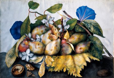 Tallerken med plommer, sjasmin og nøtter Maleri på pergament av Giovanna Garzoni (1600-1670) av Giovanna Garzoni