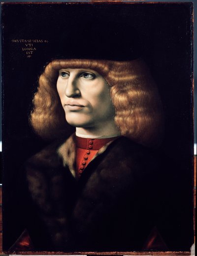 Portrett av ung mann, ca 1495 (olje på tre) av Giovanni Ambrogio de Predis