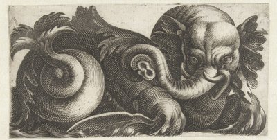 Sjøelefant med bladører Frisere med sjømonstre (serietittel) av Giovanni Andrea Maglioli