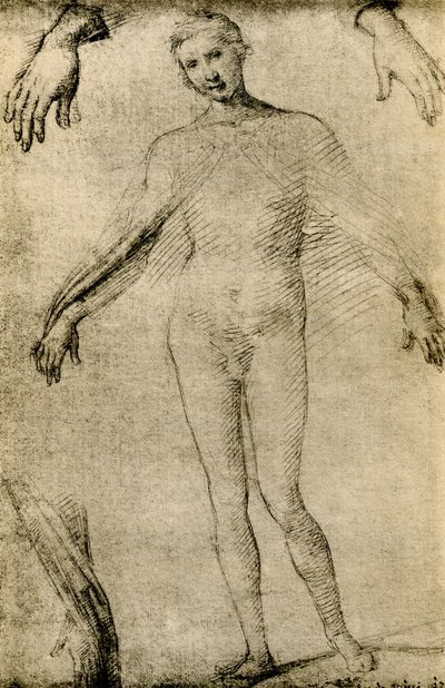 Modellstudie for en jomfru Maria som mater misericordiae av Giovanni Antonio Bazzi Sodoma