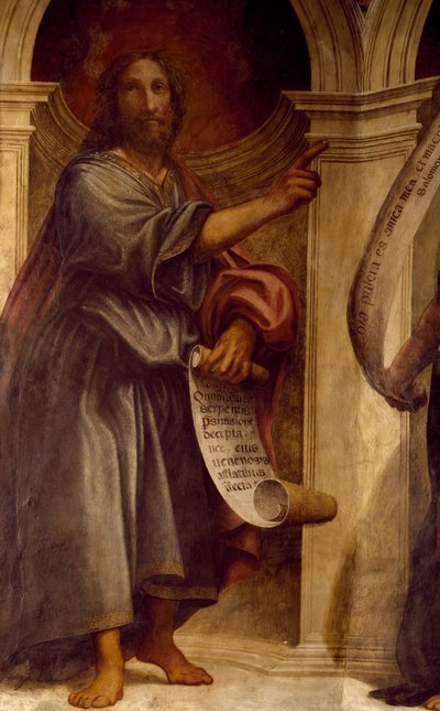 Jesaja, detalj fra profeter, freskomaleri, St. Francis-kirken, St. Annes kapell, Cortemaggiore, Italia av Giovanni Antonio Pordenone