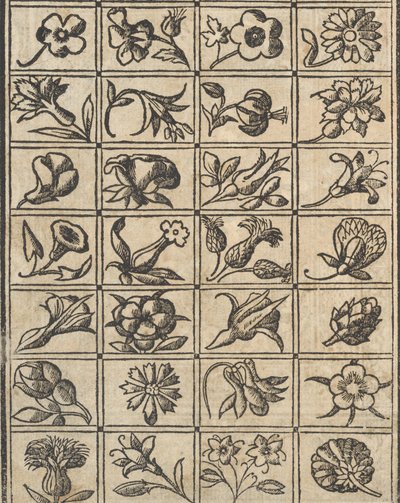Eksempel på recammi, side 10 verso, 1530. av Giovanni Antonio Tagliente