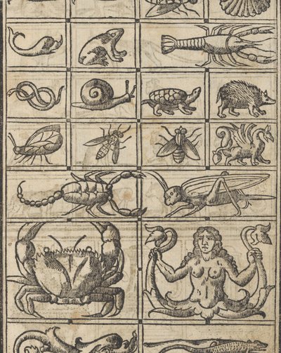 Eksempel på recammi, side 11 recto, 1530. av Giovanni Antonio Tagliente
