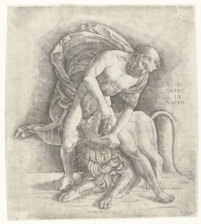 Hercules kjemper mot Nemean-løven Herkules erobrer Nemean-løven D HERC IN VICTO (tittel på objekt) av Giovanni Antonio da Brescia