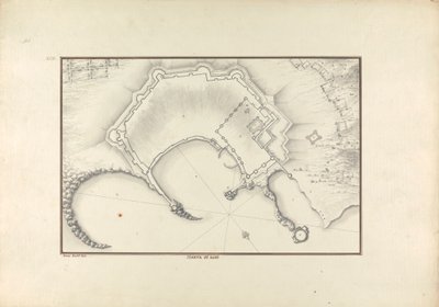 Rhodos plante av Giovanni Battista Borra