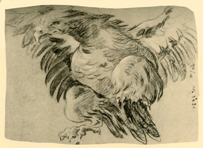 Eagle, 1751-1752, 1928 av Giovanni Battista Tiepolo