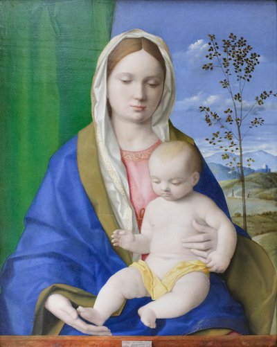  av Giovanni Bellini