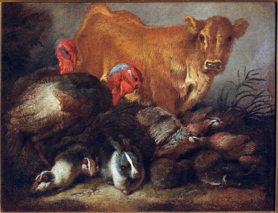 Studie av dyr Ku, kalkun, kanin, Maleri av Giovanni Benedetto Castiglione dit il Grechetto (1610-1665) Dim.30x38,5 cm Gener, Musei di Strada Nuova av Giovanni Benedetto Castiglione
