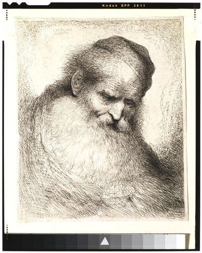 Skjegget gammel mann med hodet lent forover, iført en hodekappe, mot høyre av Giovanni Benedetto Castiglione
