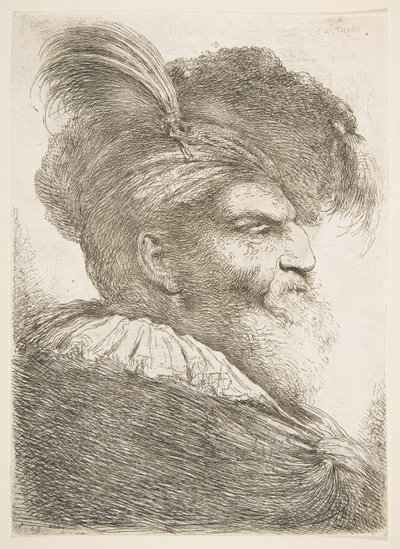 Hodet til en gammel mann vendt mot høyre, fra serien med store orientalske hoder, ca. 1645-1650. av Giovanni Benedetto Castiglione