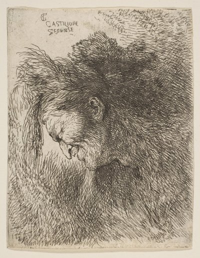 Hodet til en gammel mann som ser ned, vendt mot venstre, fra serien med små hoder i ..., ca. 1645-1650. av Giovanni Benedetto Castiglione