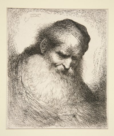 Gammel mann med skjegg foran (fra serien med store orientalske hoder) av Giovanni Benedetto Castiglione