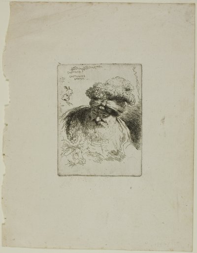 Gammel mann med turban av Giovanni Benedetto Castiglione
