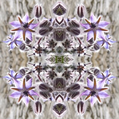 Unaturlig 159 (digitalt manipulert bilde) av Giovanni Cafagna
