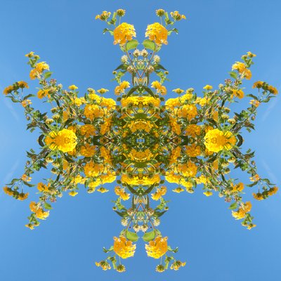 Unaturlig 193 (digitalt manipulert bilde) av Giovanni Cafagna