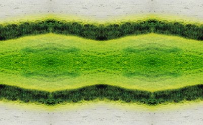 Unaturlig 2.1 (digitalt manipulert bilde) av Giovanni Cafagna