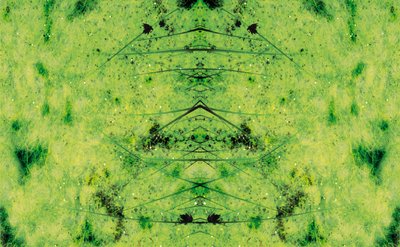 Unaturlig 3 (digitalt manipulert bilde) av Giovanni Cafagna