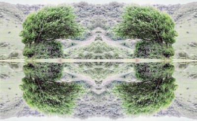 Unaturlig 40 (digitalt manipulert bilde) av Giovanni Cafagna