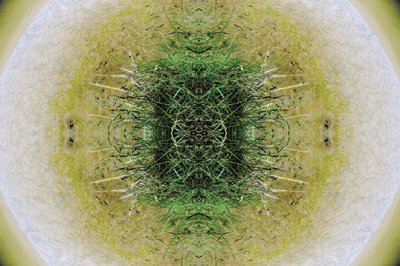 Unaturlig 6.1 (digitalt manipulert bilde) av Giovanni Cafagna