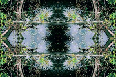 Unaturlig 73 (digitalt manipulert bilde) av Giovanni Cafagna