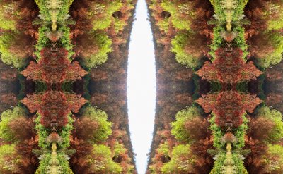 Unaturlig 81 (digitalt manipulert bilde) av Giovanni Cafagna