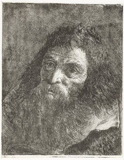 Mann med langt hår og skjegg av Giovanni Domenico Tiepolo