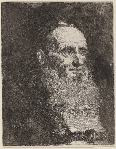 Gammel mann med skjegg av Giovanni Domenico Tiepolo