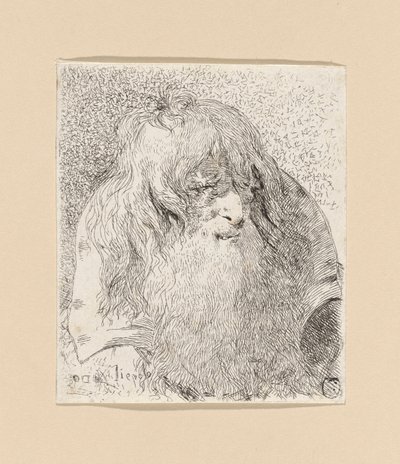 Gammel mann med skjegg og langt hår, fra Raccolta di Teste (Hodersamling) av Giovanni Domenico Tiepolo